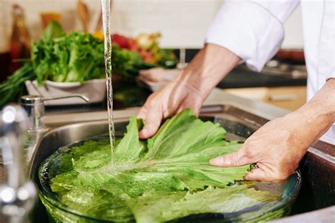 Como higienizar alimentos dicas para limpeza e conservação corretas AltaVistta