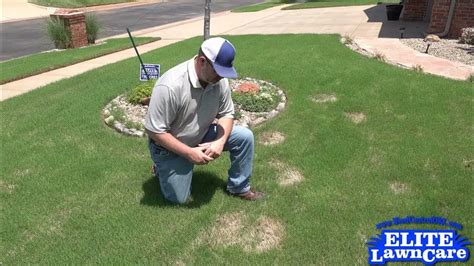 Healthy Lawn With Spring Dead Spot Youtube