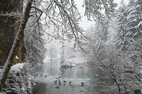 Pond Snow Wallpapers Wallpaper Cave