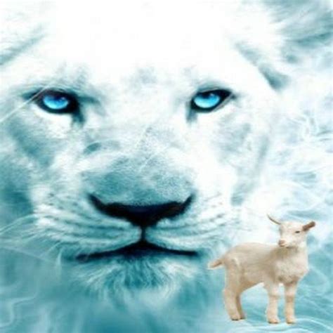 Lion And Lamb Ministry Youtube