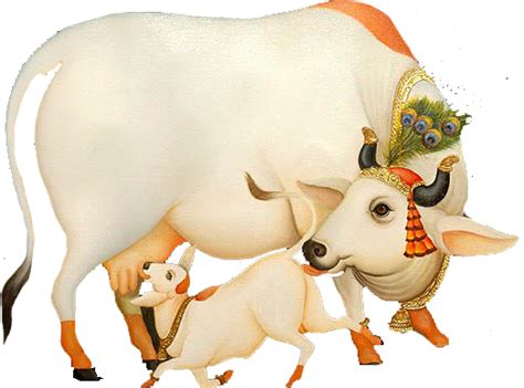 Collection Of Indian Cow With Krishna Png Pluspng