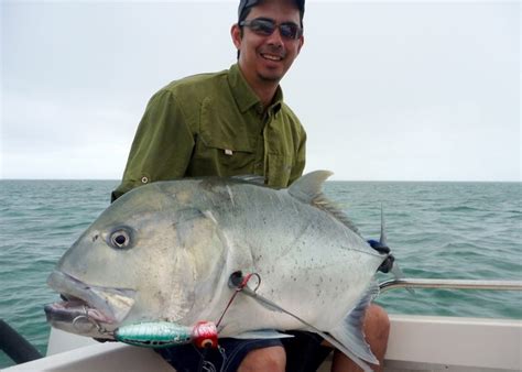An Overview Of Fishing For Jacks African Pompano Amberjack Trevally