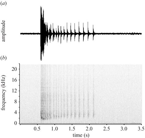 A Waveform And B Spectrogram Of A Typical Frt Sound Sampling Rate