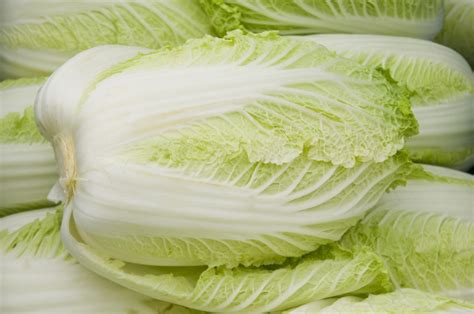 What Is Bok Choy—and What Do You Do With It Myrecipes