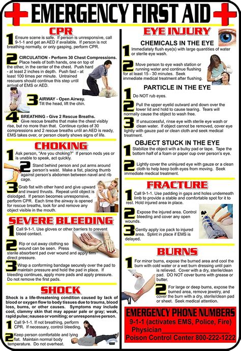 First Aid And Choking Poster 11 X 17 Laminated Includes Cpr Shock