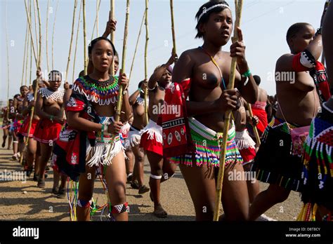 Zulu Doncellas Entregar Reed Palos Al Rey Zulú De Baile En Palacio Enyokeni Reed Nongoma