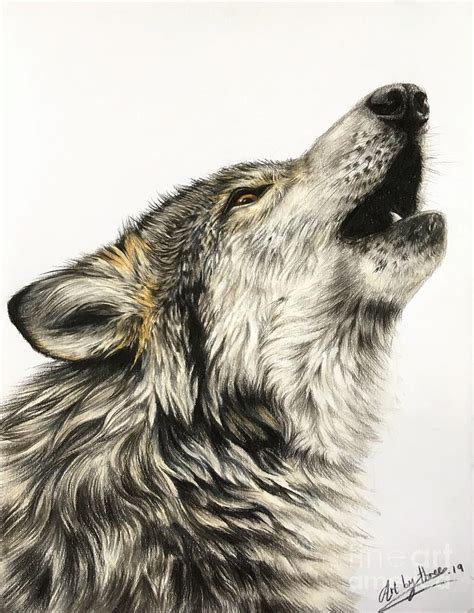 Howling Wolf Drawing By Art By Three Sarah Rebekah Rachel White Fine
