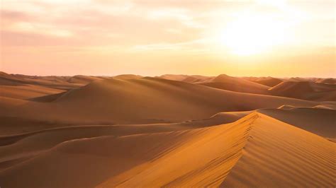 Top Facts About The Arabian Desert - WorldAtlas