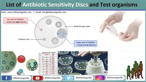 List Of Antibiotic Sensitivity Discs And Test Organisms Lab Tests Guide
