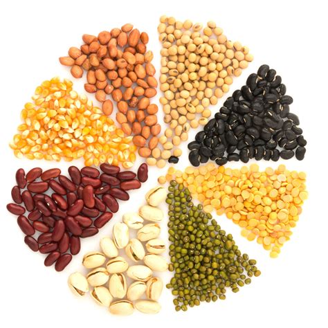 Soy, pea, pulses, seitan, and tempeh. Plant-Based Protein: Your Guide to Getting Enough