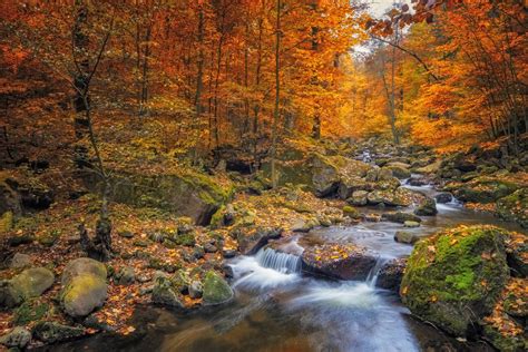 Foliage In Europa I Posti Dove Andare Per Le Foglie In Autunno