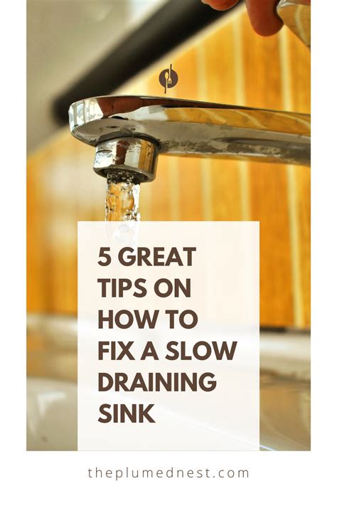 5 Great Tips On How To Fix A Slow Draining Sink The Plumed Nest