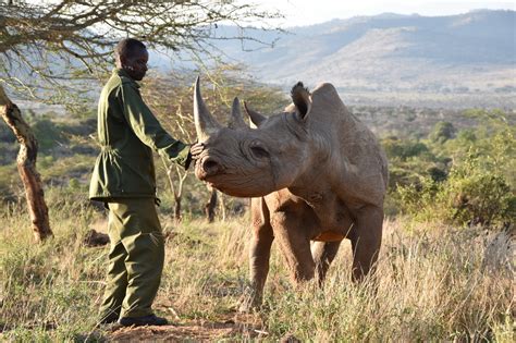 Donate Rhino Conservation Save The Rhino International