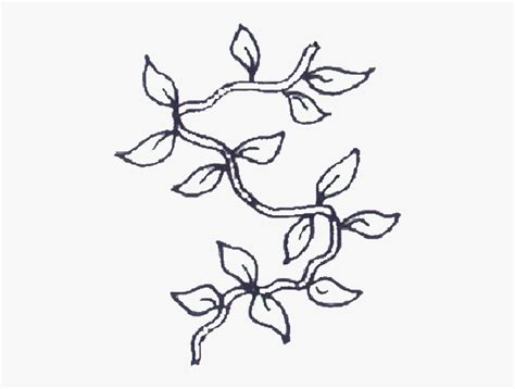 Vines Drawing