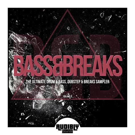 Bass And Breaks The Ultimate Drum And Bass Dubstep And Breaks Sampler Vol