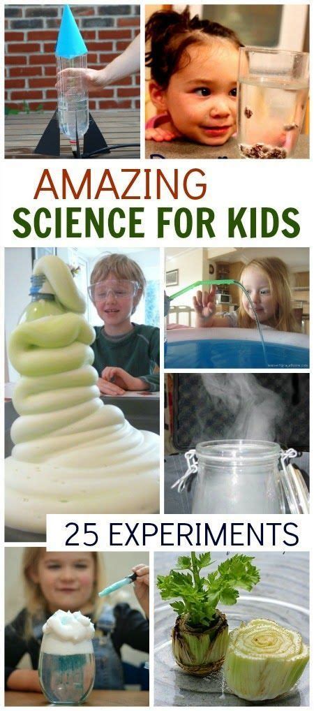 Winter Science For Kids Growing A Jeweled Rose Science Activities