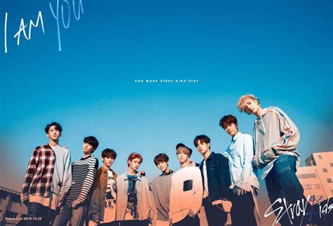 Stray Kids Aesthetic Laptop Wallpapers Top Free Stray Kids Aesthetic