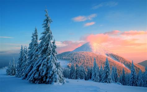 Winter Mountain Trees Wallpapers Wallpaper Cave