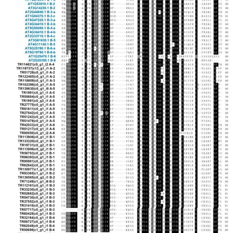 Sequence Alignments Of Ap2 Domains Of Representative Erf Proteins In B