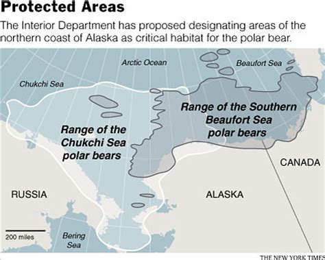 Designated Critical Habitat For Alaskan Polar Bears Offers No