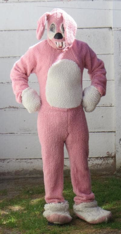bunny pink adult size bke costume rental