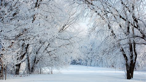 Free Zoom Backgrounds For Winter Aufad