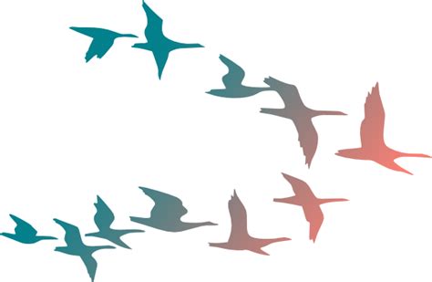 Birds In Flight Clip Art At Vector Clip Art Online Royalty