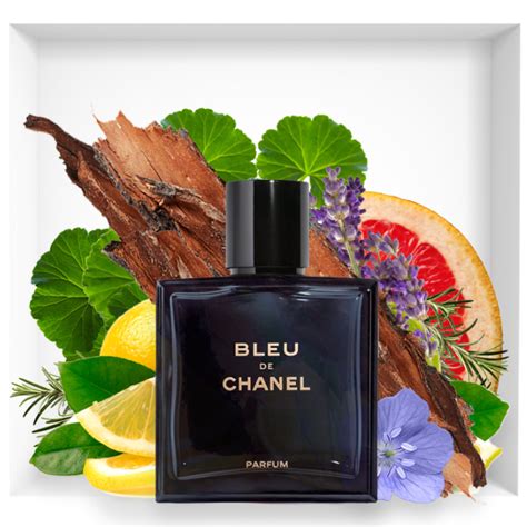 1.7 fl oz (pack of 1). New Bleu de Chanel Parfum extrait | Reastars Perfume and ...