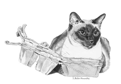 Siamese Cat By Sallyspades Siamese Cats Cats Siamese