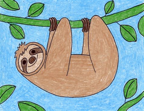 How To Draw Cute Easy Sloths | Images and Photos finder