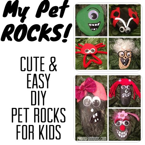My Pet Rocks Cute And Easy Diy Pet Rocks For Kids