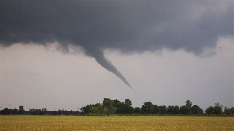 Tornádó m (genitive singular tornádó, nominative plural tornádónna). Hoe ontstaan tornado's en wat moet je doen als je er een ...