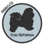 We are dedicated to breeding healthy happy puppies with great. Havanese breeders in Minnesota | Havanese Puppies For Sale MN