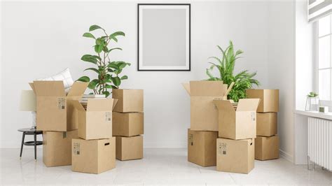 13 Apartment Moving Tips — Less Stressful Moving Real Homes