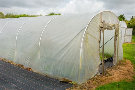 How To Build A Diy Polytunnel Greenhouse Upgardener