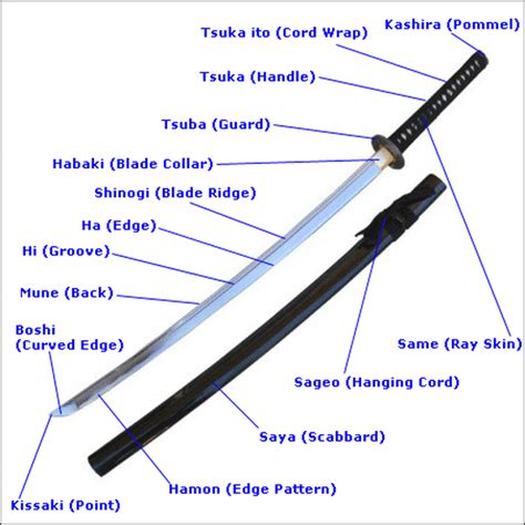 Sword Anatomy Hung Shing Ts