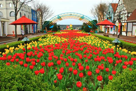 Seoul Land Theme Park And Seoul Land Zoo Foreigner Discount Ticket