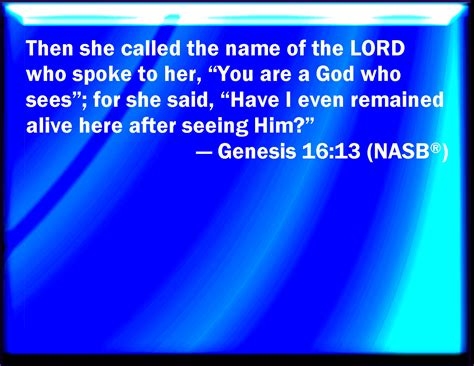 Genesis 1613 And She Called The Name Of The Lord That Spoke To Her