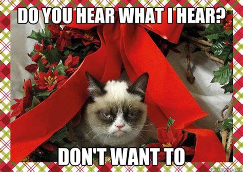 Do You Hear What I Hear Dont Want To A Grumpy Cat Christmas Grumpy Cat Christmas Grumpy