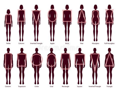 Set Of Women Men Body Shapes Silhouette Types Male Female Vector