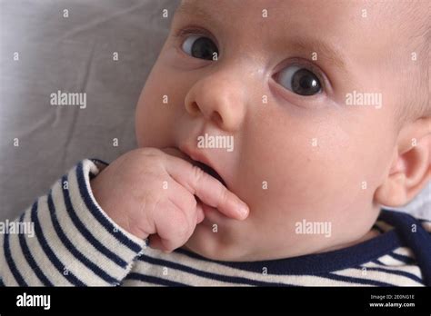 Close Up Of The Baby Who Puts His Hand In His Mouth To Suck His Finger