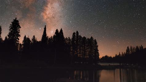 Starry Sky Milky Way Trees Lake Night Stars Picture Photo