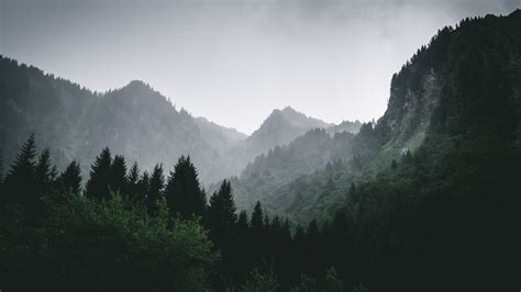 Download Wallpaper 2560x1440 Mountains Forest Fog Landscape