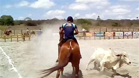 1a grande vaquejada haras da roça em lajedo pe youtube