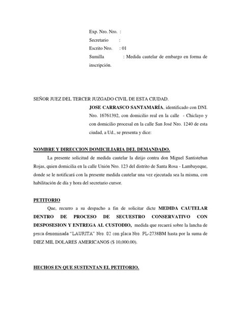 Modelo De Medida Cautelar Pdf Mandato Accion Legal