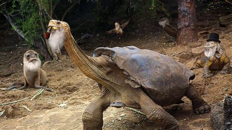 Ecologists Discover 400 Species Of Charles Darwin Living In Galápagos