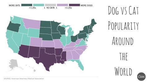 World And Us Maps Of Cat Vs Dog Popularity Interactive Maps Alltop