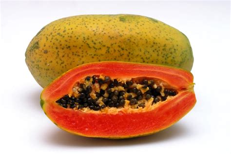 Papaya Trocknen So Trocknen Sie Früchte And Samen