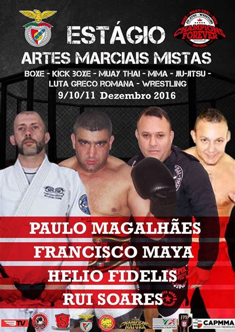 Estágio De Artes Marciais Mistas 2016