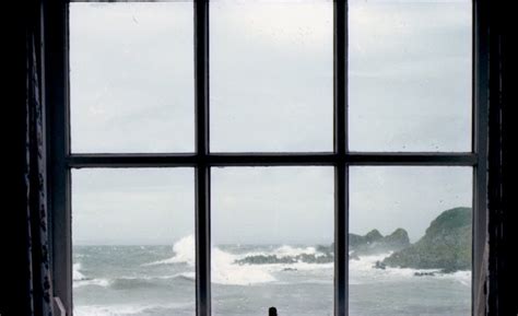 Lou Sea Through Window